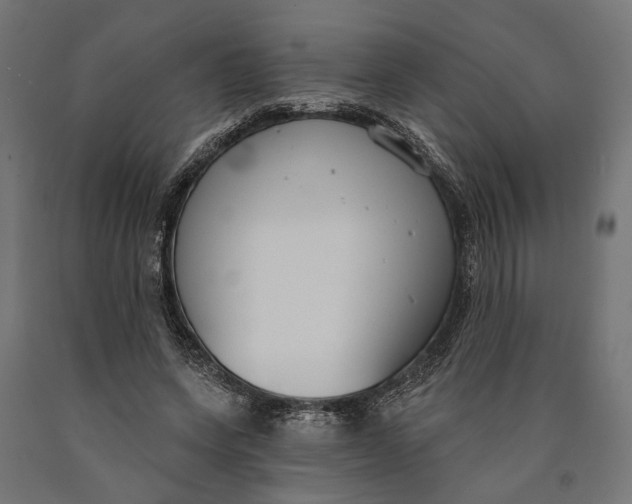 X0000090420543200708031108