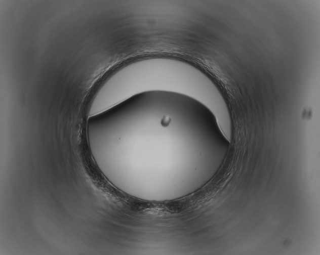 X0000090420544200708031108