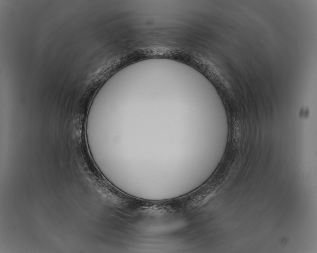 X0000090420545200708031108