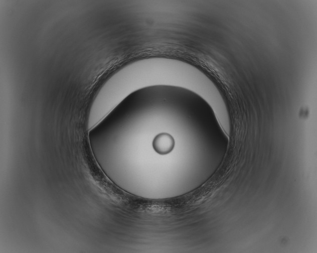 X0000090420546200708031108