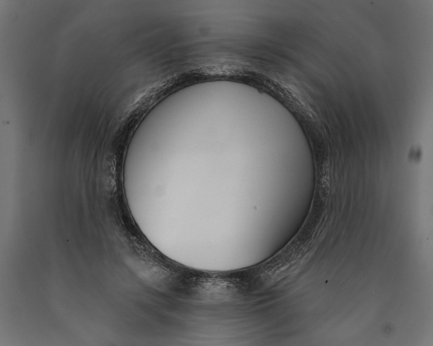 X0000090420547200708031108