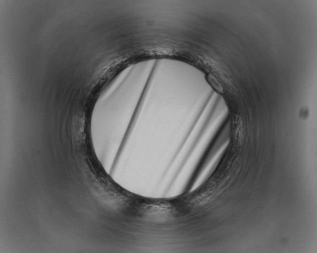 X0000090420548200708031108