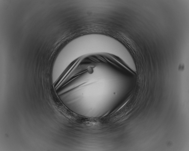 X0000090420552200708031108