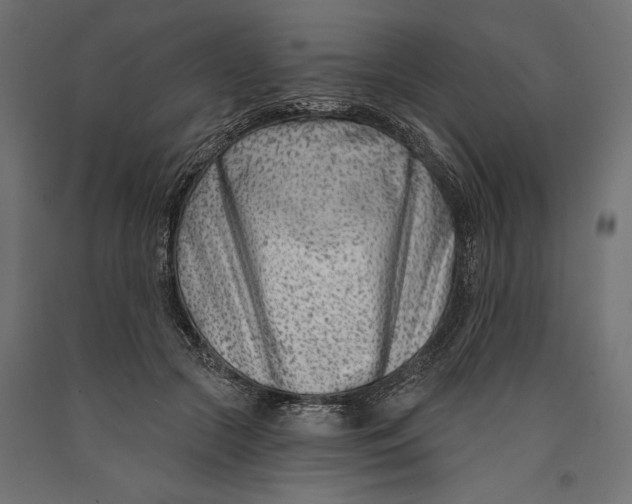 X0000090420553200708031108