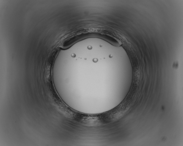 X0000090420554200708031108