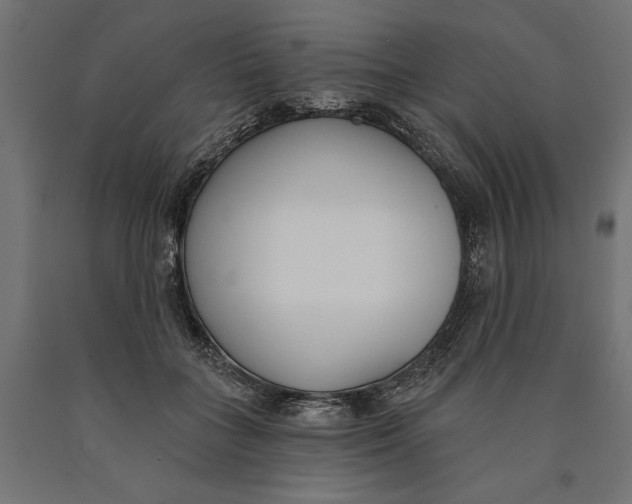 X0000090420555200708031108