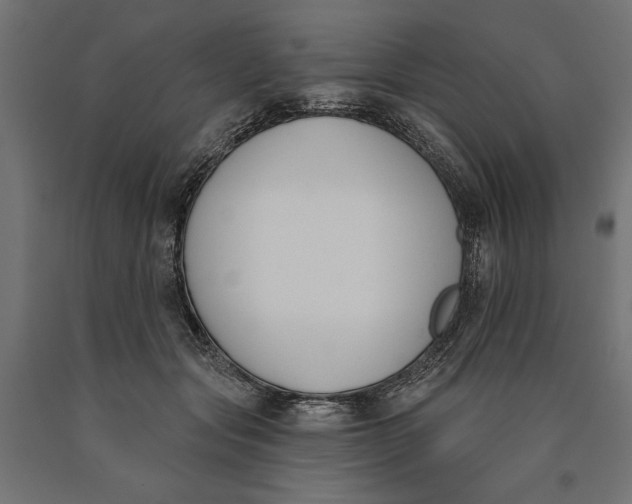 X0000090420557200708031109