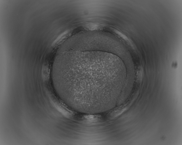 X0000090420558200708031109