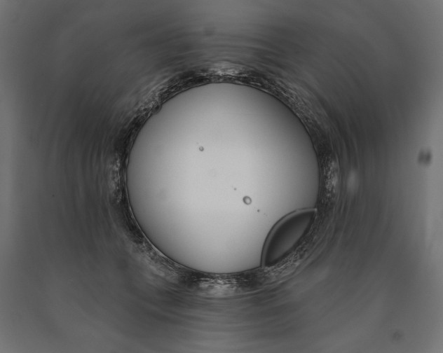 X0000090420559200708031109