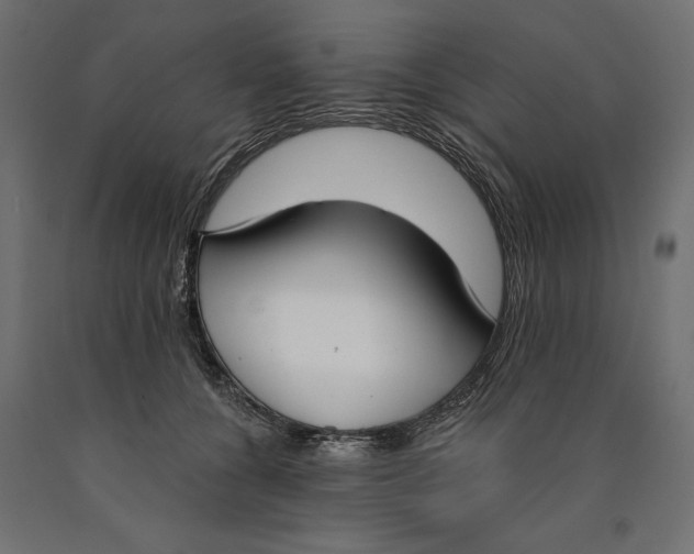 X0000090420560200708031109