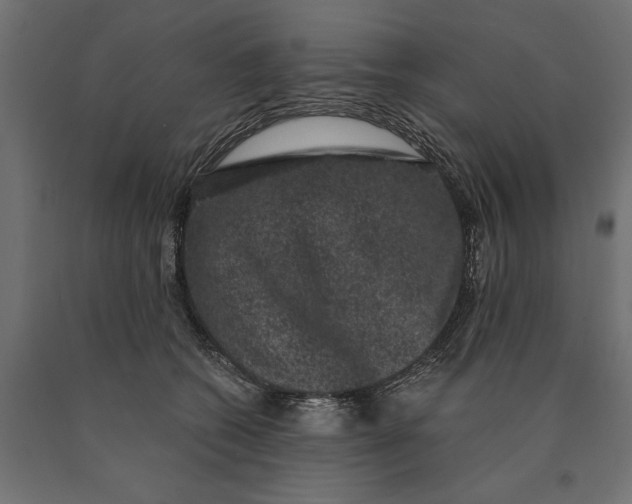 X0000090420562200708031109