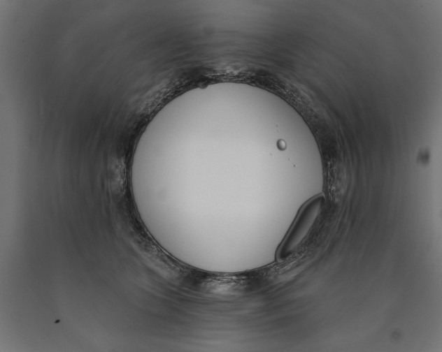 X0000090420563200708031109