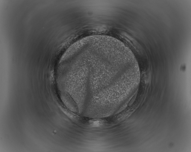 X0000090420564200708031109