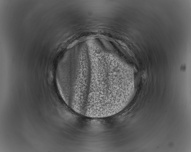 X0000090420566200708031109