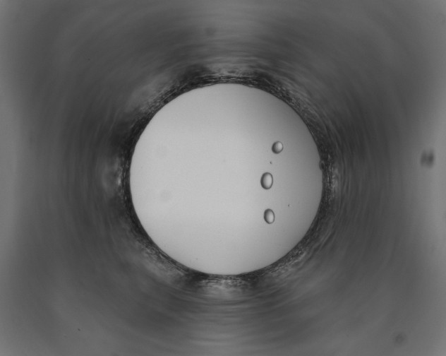 X0000090420567200708031109