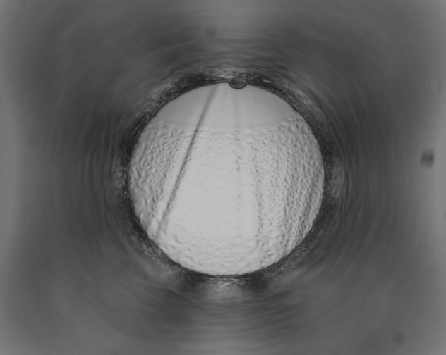 X0000090420569200708031109