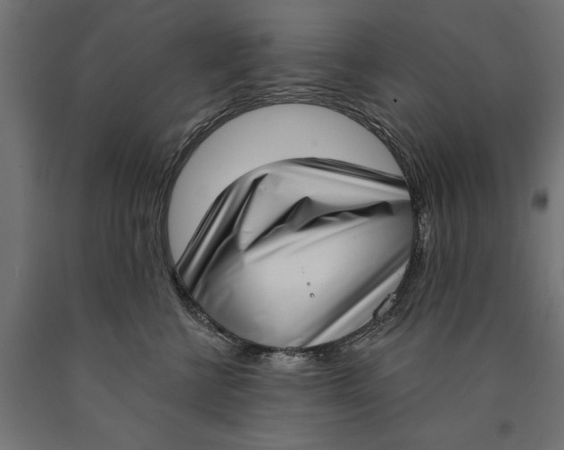 X0000090420570200708031109