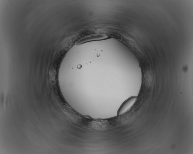 X0000090420571200708031109