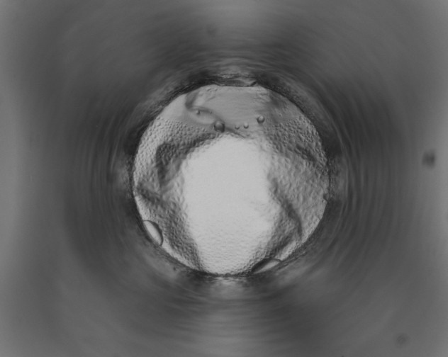 X0000090420573200708031109