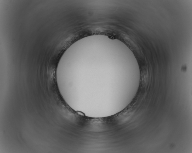 X0000090420574200708031109