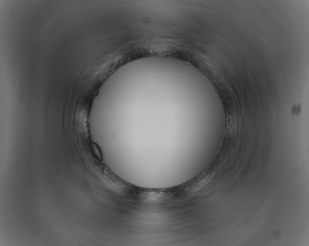 X0000090420575200708031109