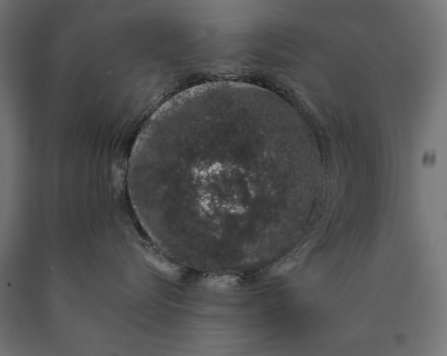 X0000090420576200708031109