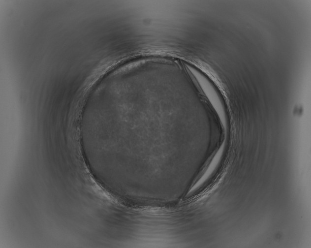 X0000090420577200708031108