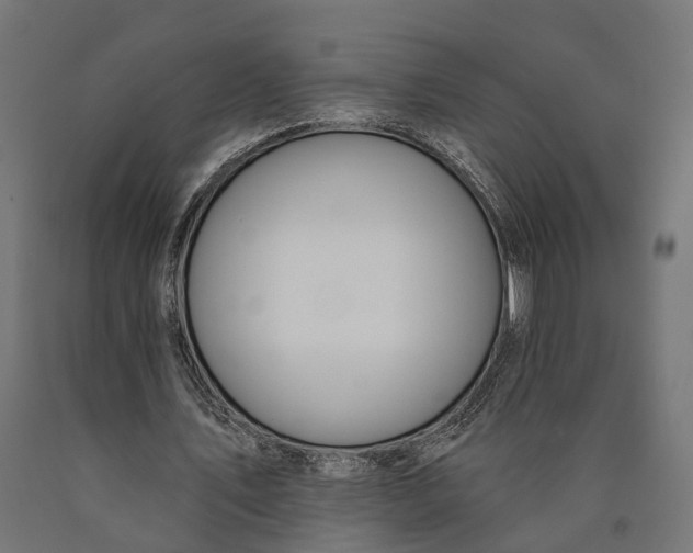 X0000090420579200708031108