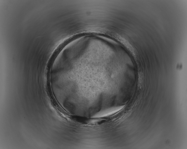 X0000090420580200708031108