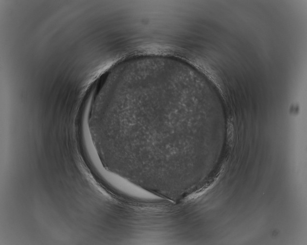 X0000090420581200708031108