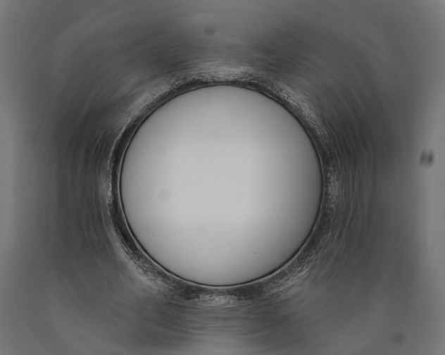 X0000090420582200708031108