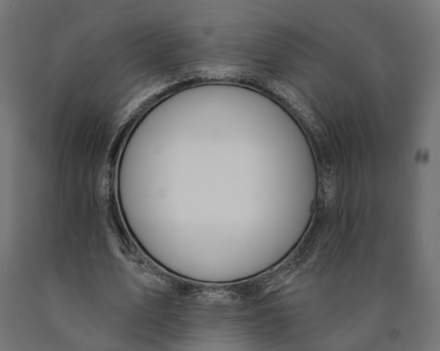 X0000090420583200708031108