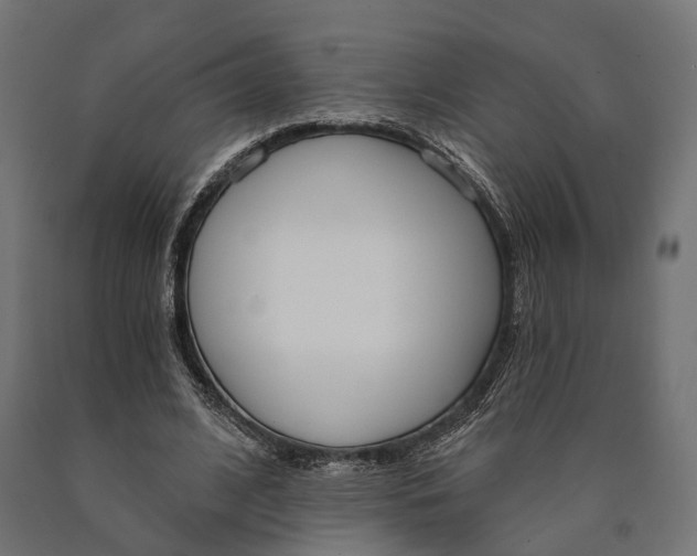 X0000090420584200708031108