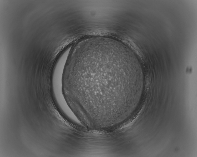 X0000090420585200708031108