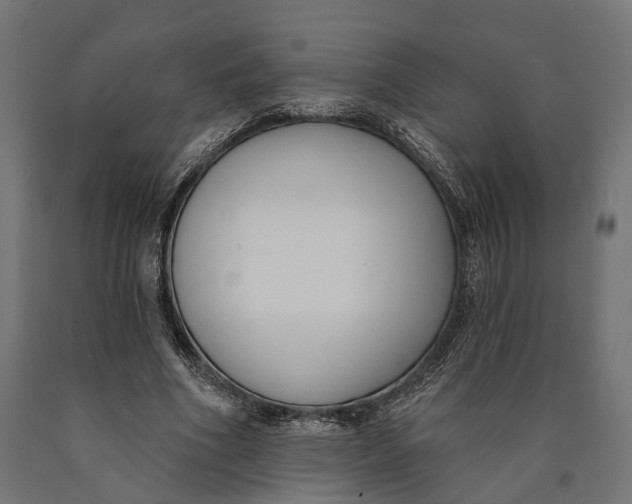 X0000090420586200708031108