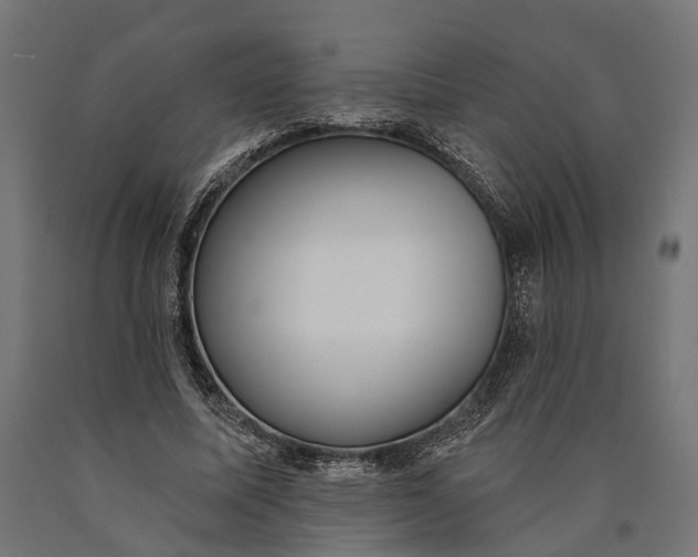 X0000090420587200708031108