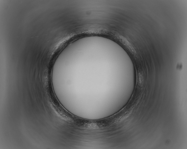 X0000090420588200708031108