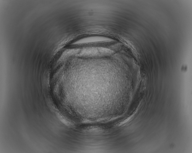 X0000090420589200708031108