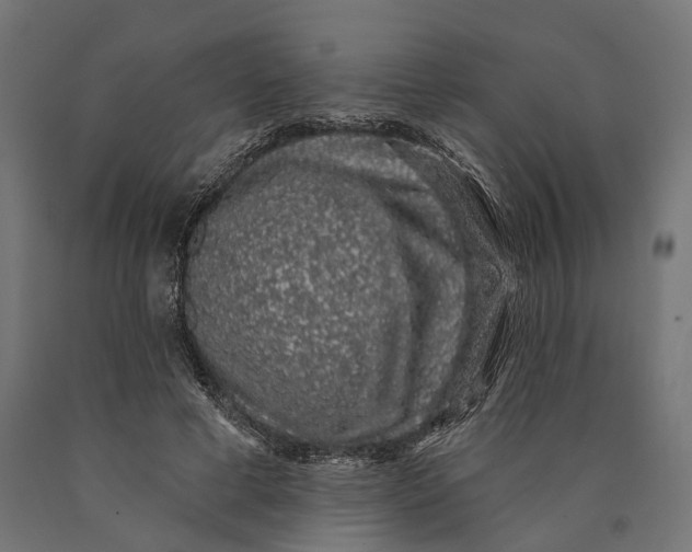 X0000090420593200708031108