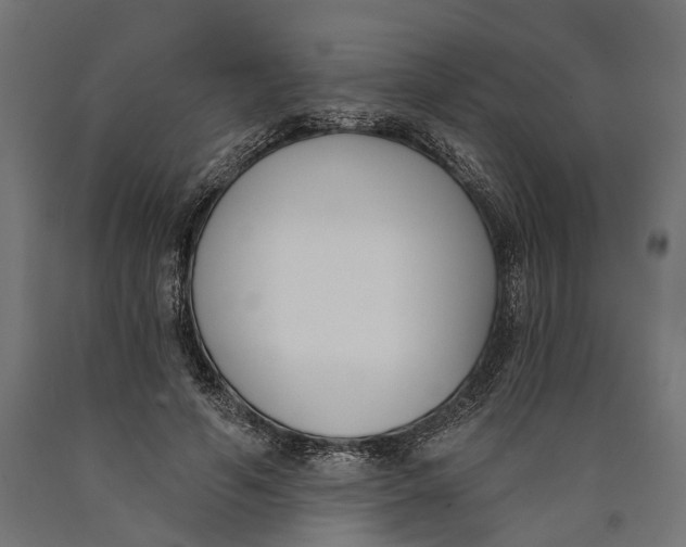 X0000090420594200708031108