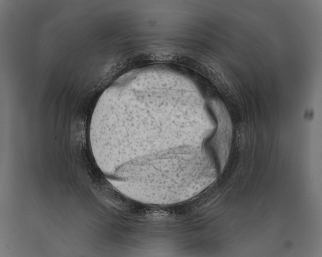 X0000090420598200708031108