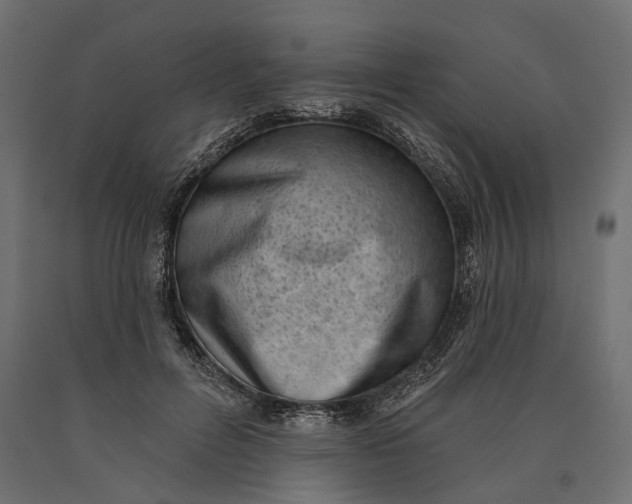 X0000090420600200708031108