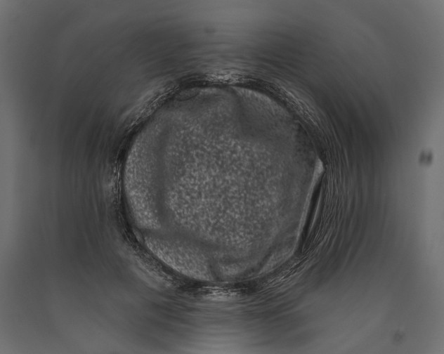 X0000090420601200708031108