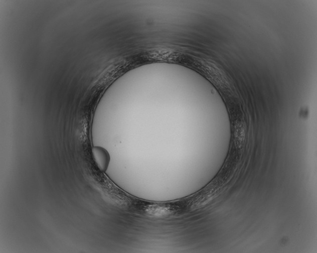 X0000090420602200708031108