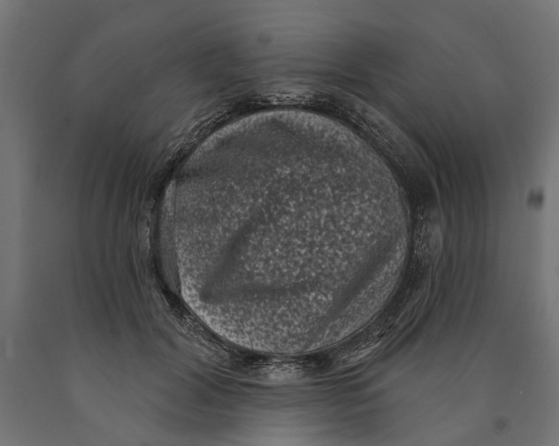 X0000090420604200708031108