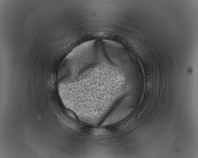 X0000090420605200708031108