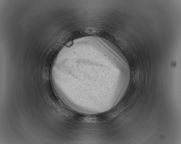 X0000090420606200708031108