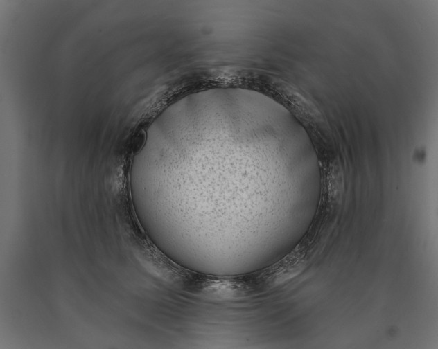 X0000090420611200708031108