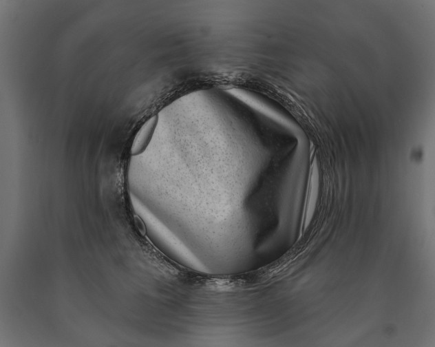 X0000090420613200708031108