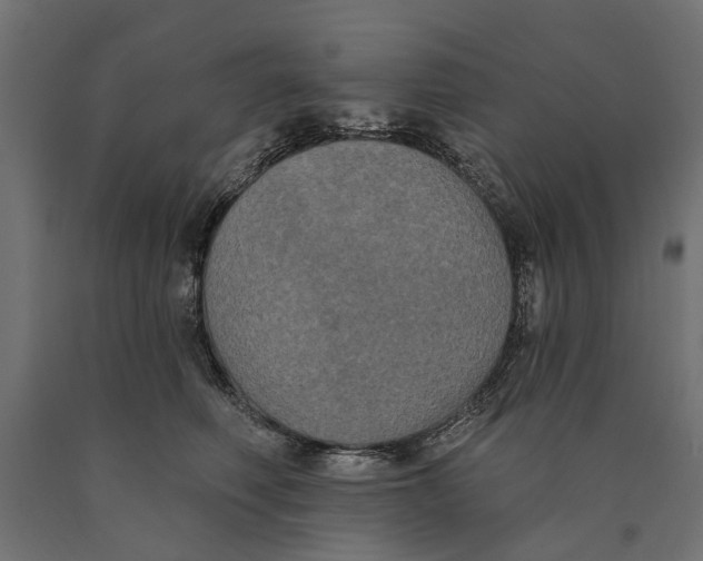 X0000090420614200708031108